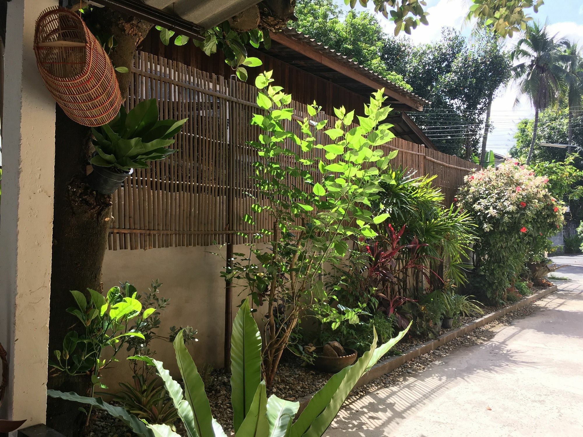 צ'יאנג מאי Him Dara Homestay מראה חיצוני תמונה